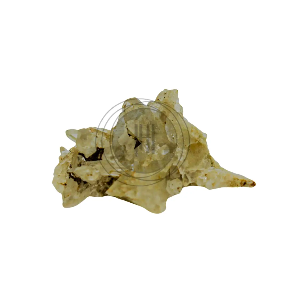 Clear Quartz Cluster 893P