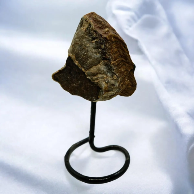 Tiger Eye Rough Standy AAA Quality