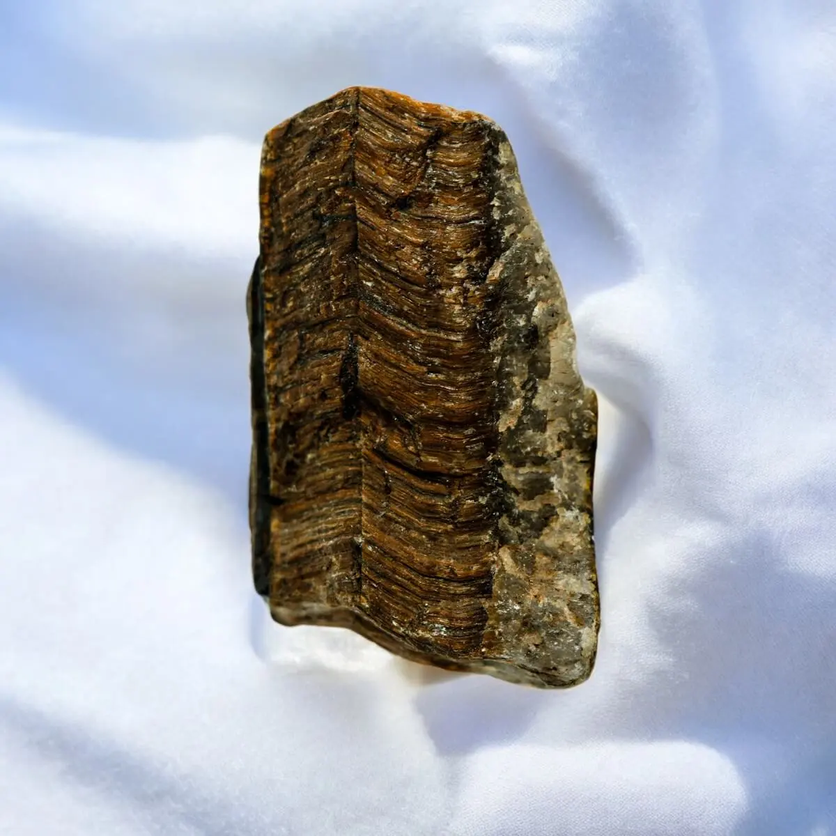 Tiger Eye Rough Standy AAA Quality - Image 3